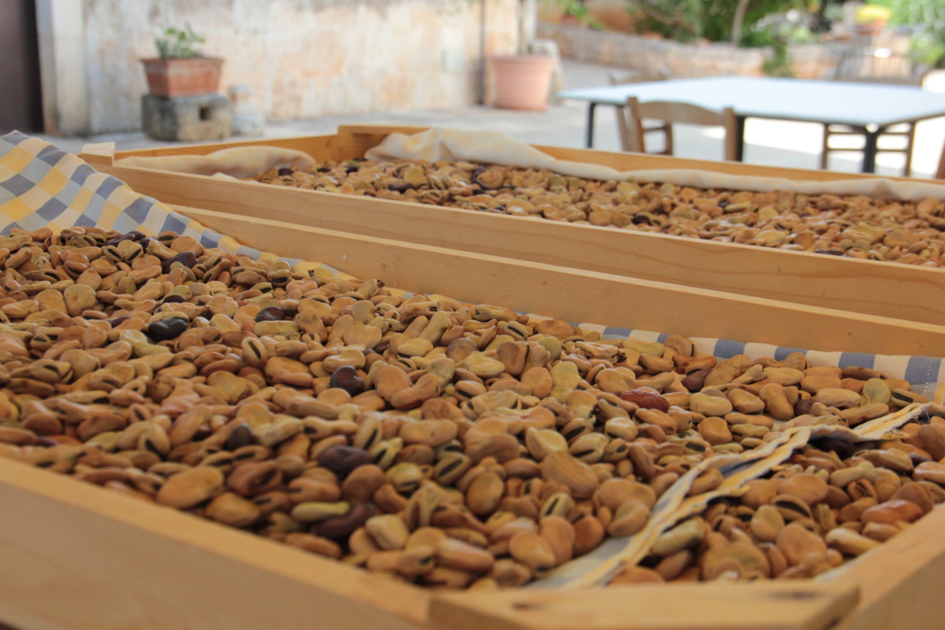 Agricoltura e Cucina