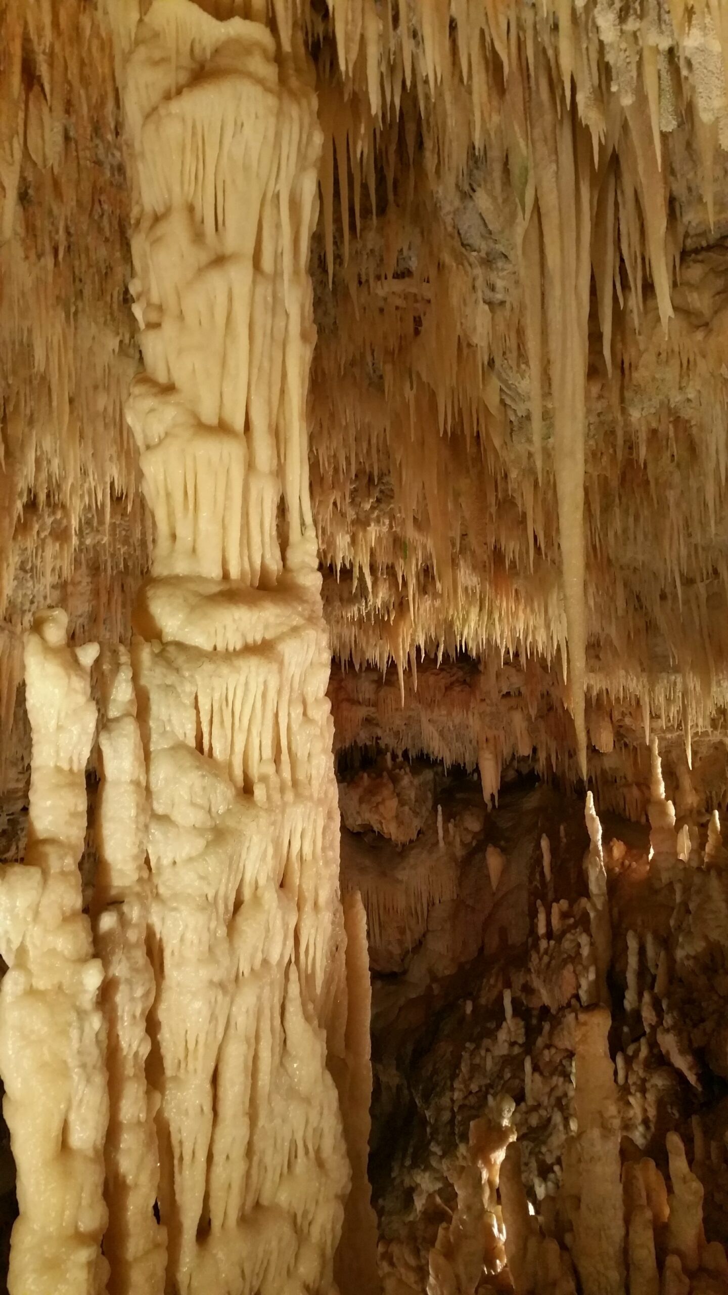 Campagna tra Castellana Grotte e Conversano