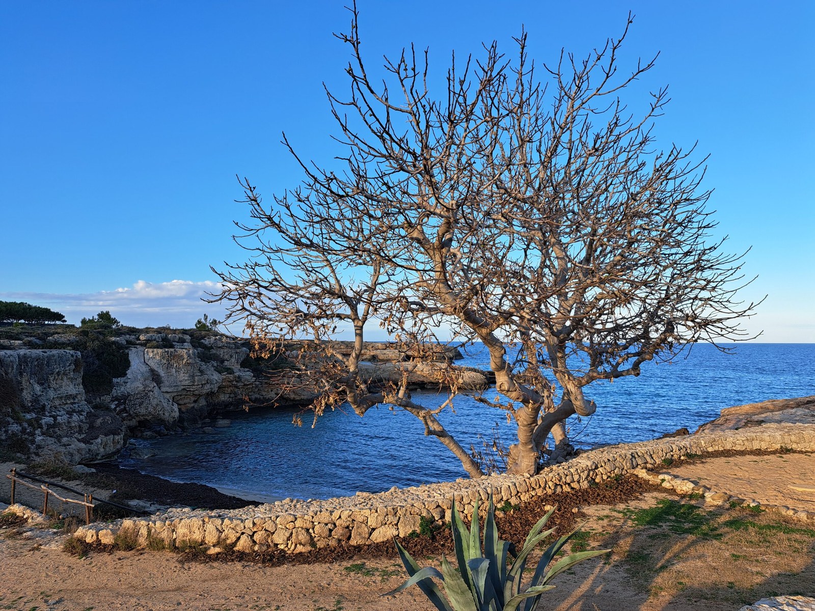 Veduta dei dintorni di Serragambetta