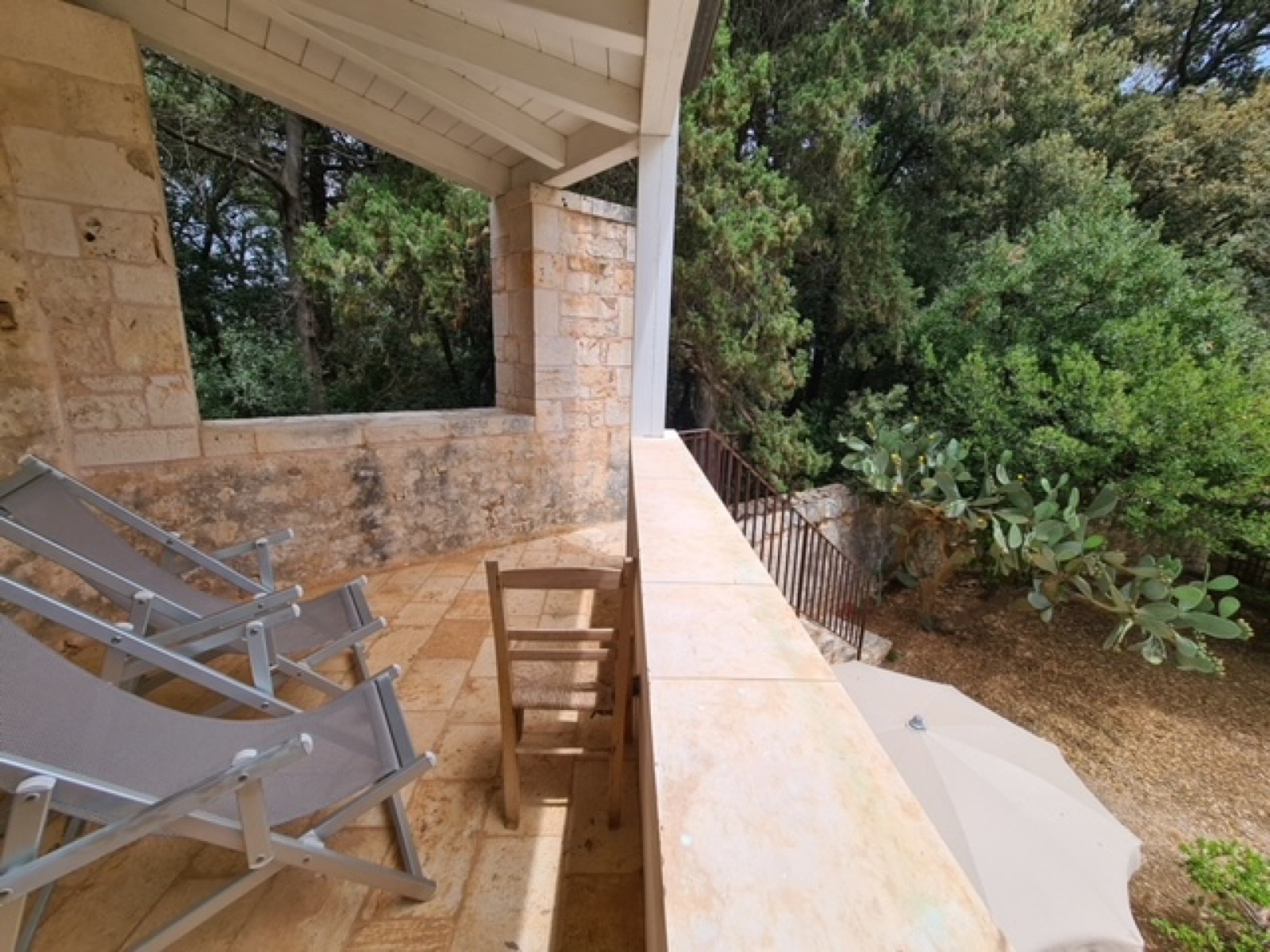 Il Bosco - foto 3