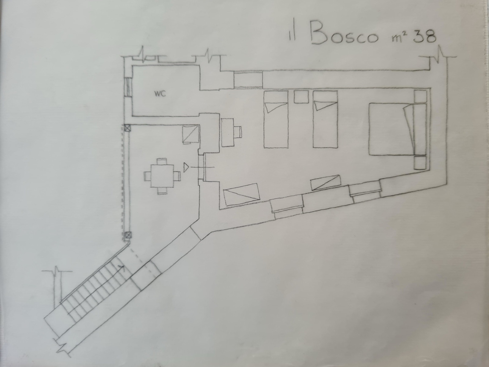 Il Bosco - foto 4
