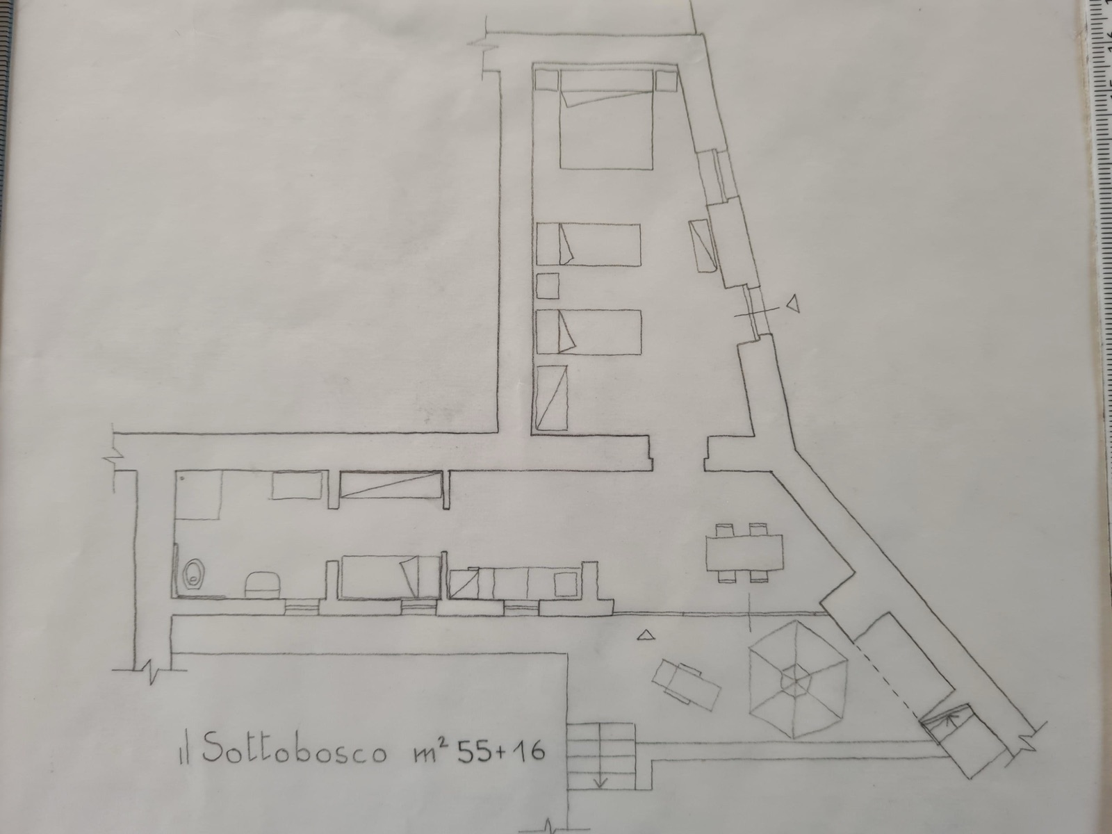 Il Sottobosco - foto 7