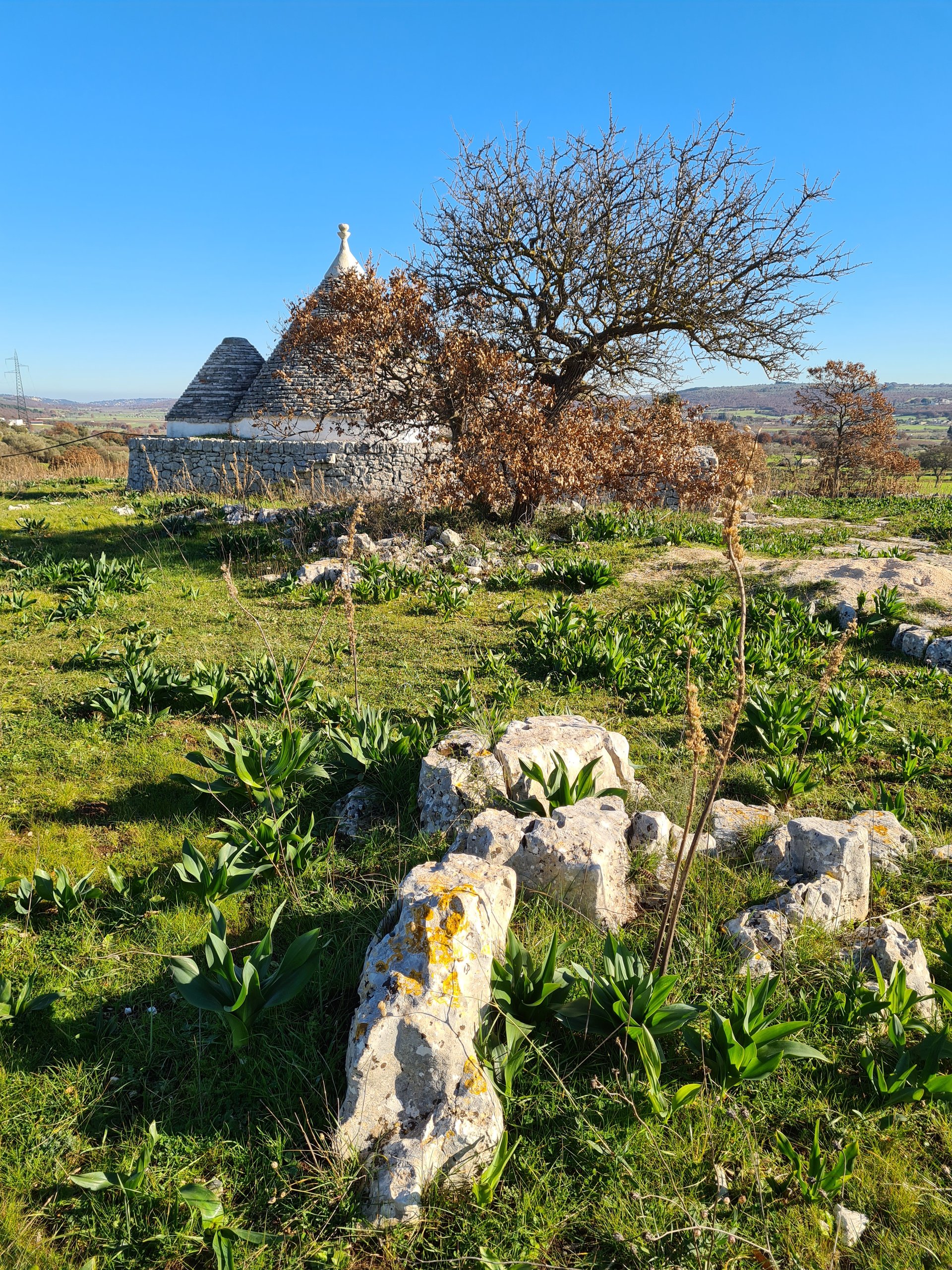 In Campagna